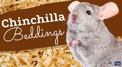 Chinchilla Bedding